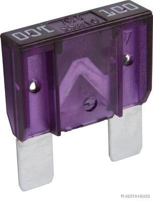 H+B SULAKEBLISTER MAXI GM 100A 1KPL