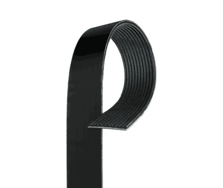 GATES MONIURAHIHNA 11PK2871HD